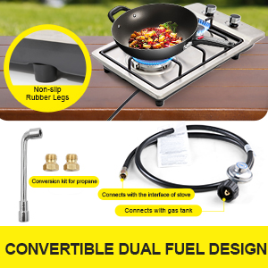 CONVERTIBLE DUAL FUEL DESIGN